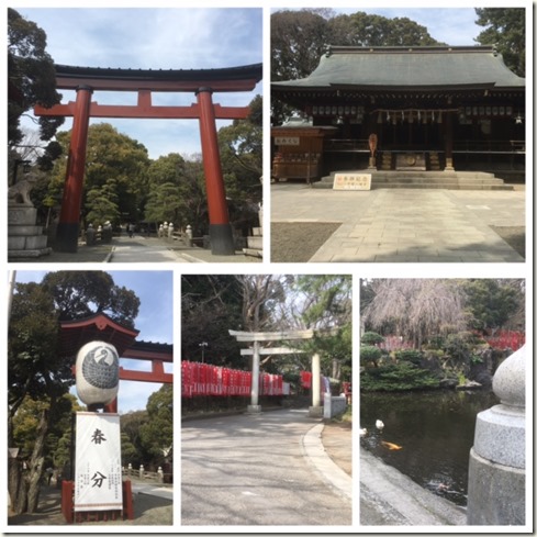 032517 hiratsuka hachiman shrine
