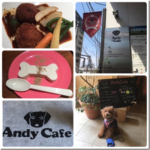 041517 ANDY CAFE
