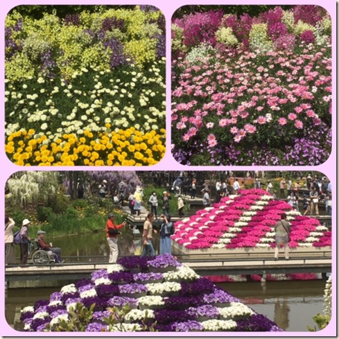050317 ashikaga flower park